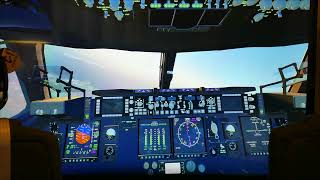 C-17 Globemaster III Landing in Kyiv Zhuliany (UKKK) (Simulation) 4K UHD