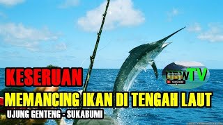 MEMANCING IKAN TERBESAR DI DUNIA  (Laut Ujung Genteng Sukabumi)