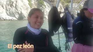 Discover Scuba Diving en Santa Marta por Jhonma Travel