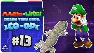 Il geco e l'ultraletto [#13 Mario & Luigi: Dream Team Bros. CO-OP ITA]