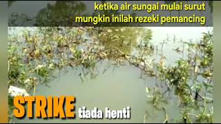 mungkin ini rezeki pemancing full strike || @radika1587