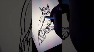 How to draw a Great Horned Owl #howtodraw #speeddrawing #animalshorts - Easy Drawing Tutorial