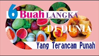 Langka! Ini 6 Buah-buahan yang Terancam Punah di Dunia.