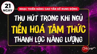 Nhạc Thiền Luật Hấp Dẫn Nâng Cao Tần Số, Tiến Hoá Tâm Thức, Thanh Lọc Năng Lượng