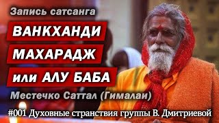 Ванкханди Махарадж (Алу Баба). Запись сатсанга, Саттал, Гималаи, март 2018 года