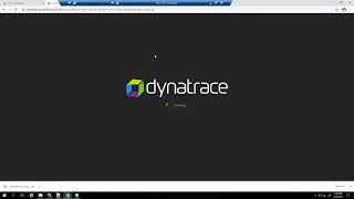 Dynatrace troubleshooting-Process/services