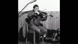 Rob Bartlett & Dave Swarbrick : Meet On The Ledge (live 1996)