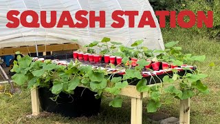 The Squash Station