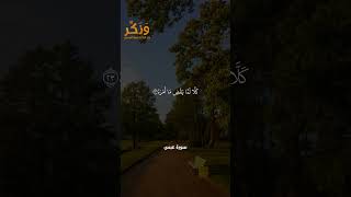 سورة عبس الآيات من 19 إلى 27 بصوت القارئ سعد الغامدي #حالات  #quran #قرآن  #shorts