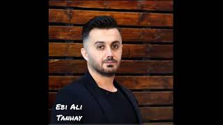 Ebi Aali - Tanhay  OFFICIAL TRACK