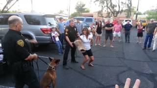 A very quick demonstration by TPD's K9 unit