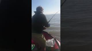 Sib fishing Bristol Channel