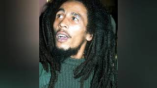 Bob Marley - Natural Mystic ( 1977 ) Audio FLAC HD 720p Video By Vincenzo Siesa