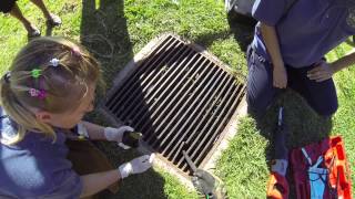 Kittens trapped under a steel grate