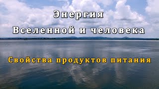 Энергия Вселенной и человека. Свойства продуктов питания