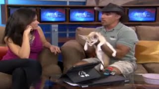 Zoo 4 U Fennec Fox Segment