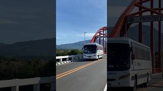 Neat BV Jetliner | Philtranco Service Enterprises Inc. Santarosa Daewoo BV115 (1805) #bus #shorts