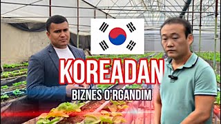 Korea tajribasi O’zbekistonda🇰🇷🇺🇿