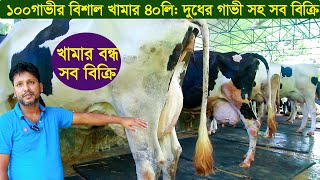 ১০০গাভী বকনার বিশাল খামার ৪০লিটার দুধ সহ সব বিক্রি dairy farm