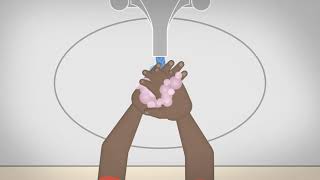 Washing Your Hands Video