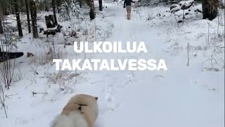 Ulkoilua Lähimetsässä@somatretket