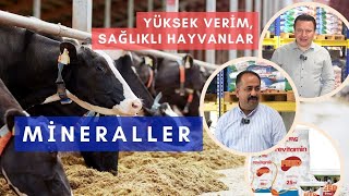 Vitamin ve Mineraller ile sütümüz ne kadar artar? Hangi mineral ne işe yarar?