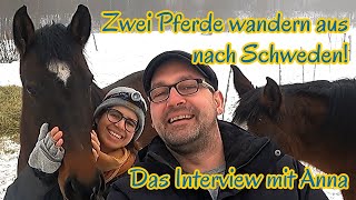 INTERVIEW: Zwei Pferde wandern aus nach Schweden 🐴🐴 - Mit Pferd nach Schweden auswandern