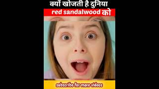 खूनी चंदन की कहानी |about red sandalwood | puspa| #shorts