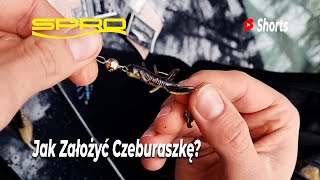 Jak Zrobić Zestaw z Czeburaszką #Shorts