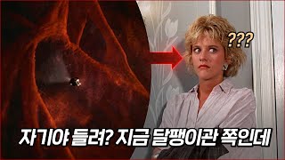 우연히 전 여친의 신체에 들어가버린 초소형 잠수정 조종사 | 결말 포함