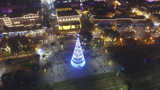 Madeira Christmas Lights 2019