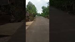 JALAN MANA INI AYO.#indonesia #shortvideo #pedesaangarut #