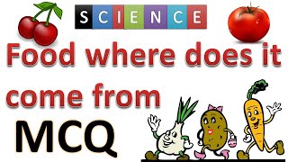 Food where does it come from | MCQ type questions | class 6 food where does it come from | goalon