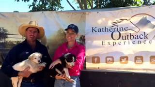 Upcoming Katherine Outback Experience Events