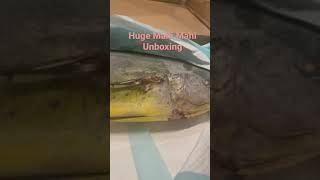 Huge Mahi Mahi #shorts #fish #fishing #mahi