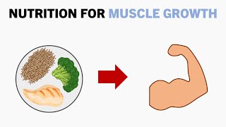 Complete Nutrition for Muscle Growth