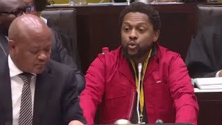 Mbuyiseni Ndlozi “This GNU Ntoni Ntoni Will Not Succeed” To Minister Of SAPS