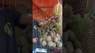 HARGA DURIAN MASIH MAHAL‼️