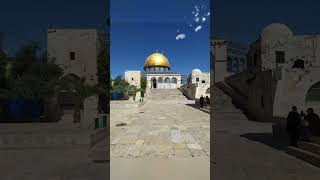 غزة والقدس #قصف #shortvideo #غزة