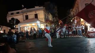 i giganti di Palmi per la festa di San Rocco Palmi 2024