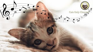 Cat Music to Calm Your Cat - Relaxing Piano Music and Water Sounds