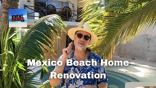 Major Cleanup Day and Palm Tree Trimmed - México Beach Home Renovation