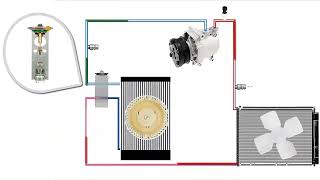 How to Fix Black or Contaminated Car AC Compressor Oil: Essential Steps and Tips