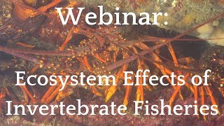 Webinar: Ecosystem Effects of Invertebrate Fisheries