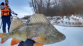 КРУПНЫЕ РЕЧНЫЕ ОКУНИ НА БАЛАНСИР! С КСЮШКОЙ НА РЫБАЛКЕ!