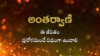 అంతర్వాణి | ఈ జీవితం పురోగమించే విధంగా ఉండాలి | Heartfulness Telugu | 13-11-2024