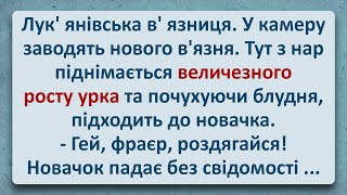 💠 Новий В'язень Лук'янівчької В'язниці! Українські Анекдоти та Анекдоти Українською! Епізод #329