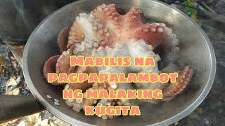 Mabilis na pagpapalambot ng kugita / Octopus