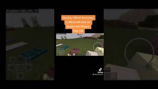 Placing 1 Block Everyday In Minecraft Intill All Blocks Are Placed - Day 134