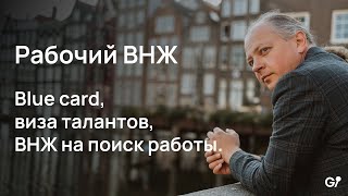 Рабочий ВНЖ: требования, особенности. Blue card, виза талантов, внж на поиск работы.